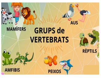 vertebrats