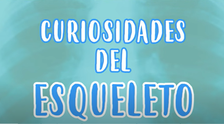 recorte curiosidades del esqueleto