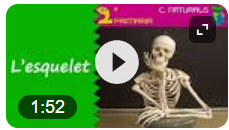 video l´esquelet