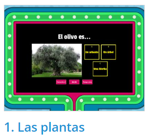 LAS PLANTAS 2
