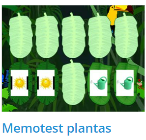 memotest plantas