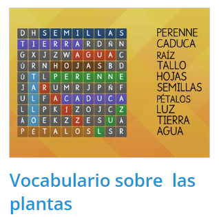 vocabulario planta 1
