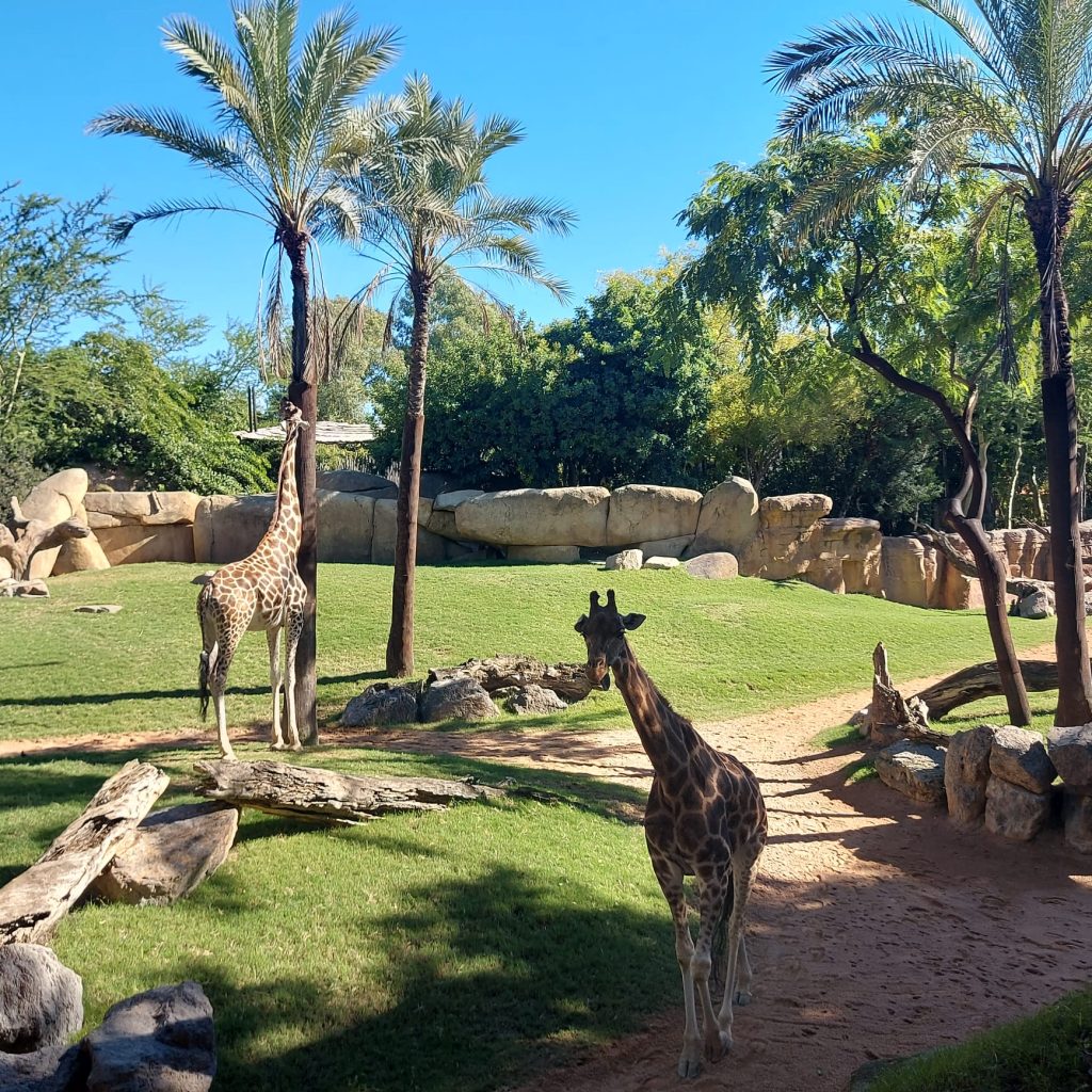 WhatsApp Image 2025-11-11 at 13.15.57