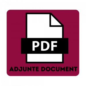 Adjunte document PDF