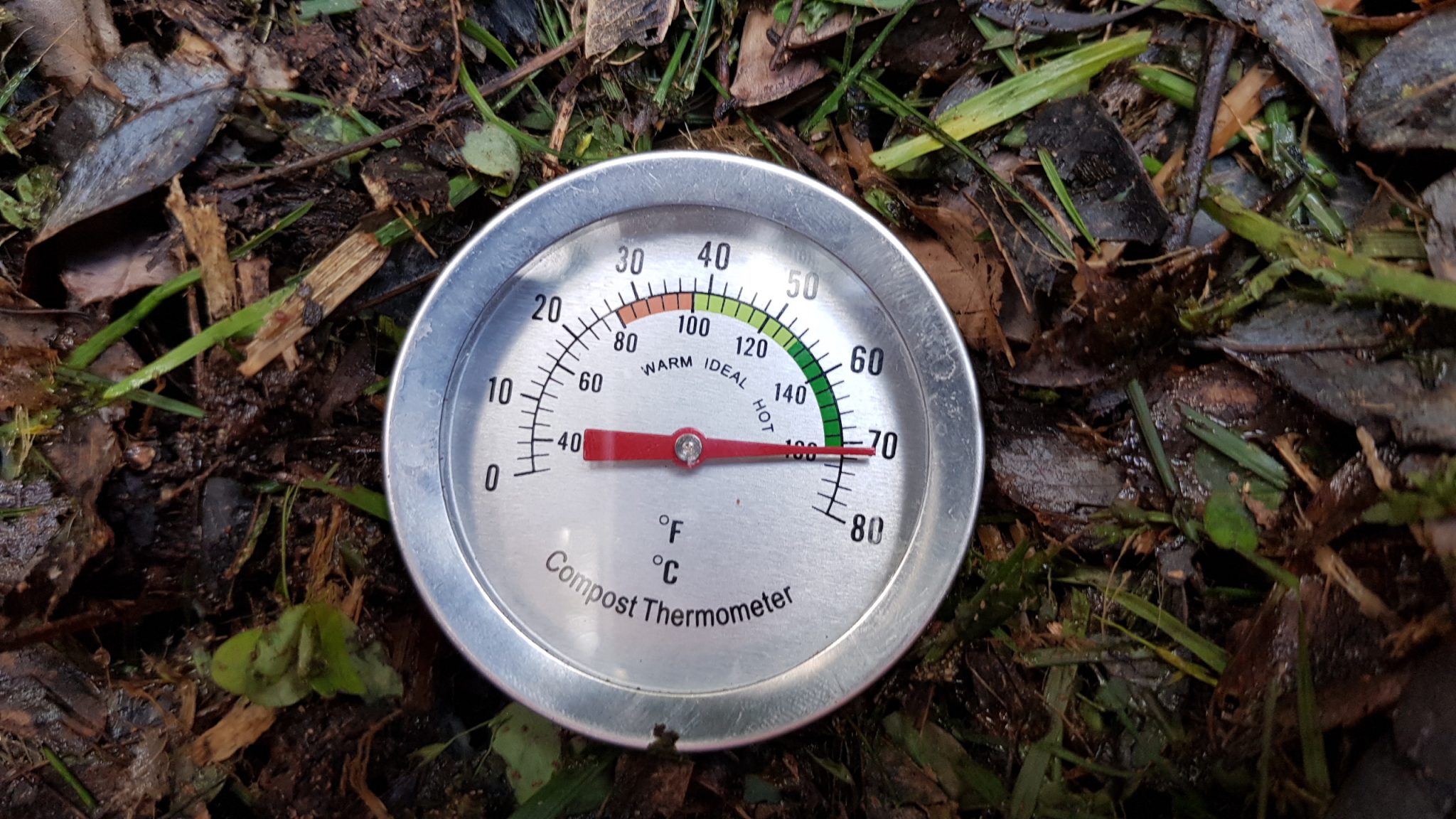 termómetro compost