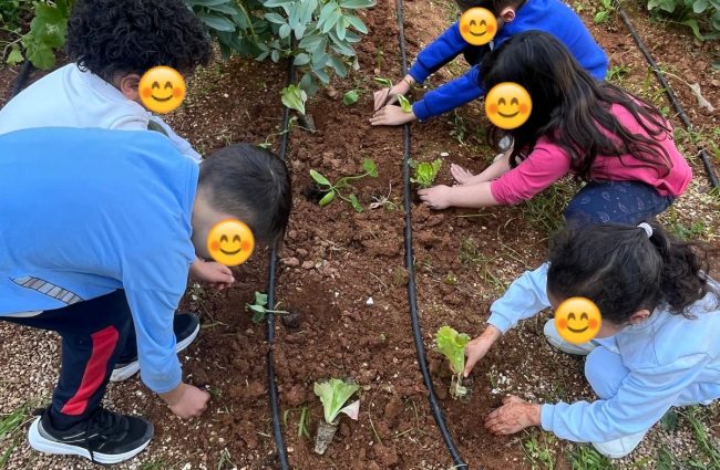 plantacio primavera estiu