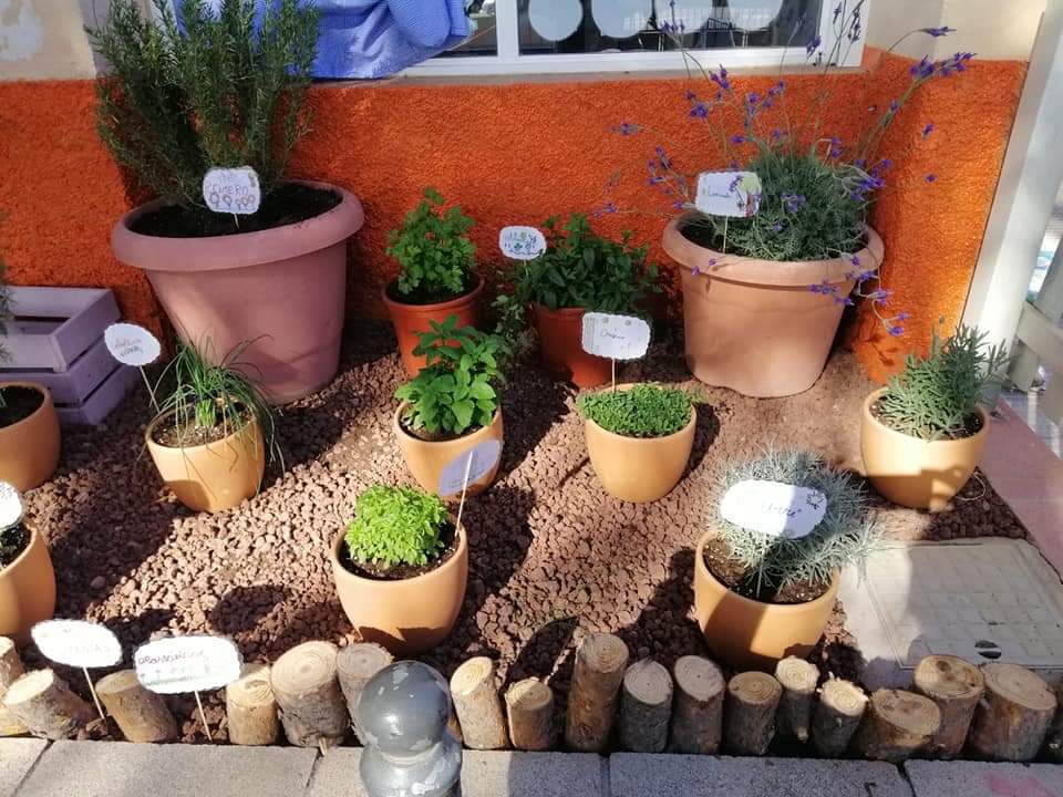 WhatsApp Image 2023-03-21 at 08.31.35 (1)