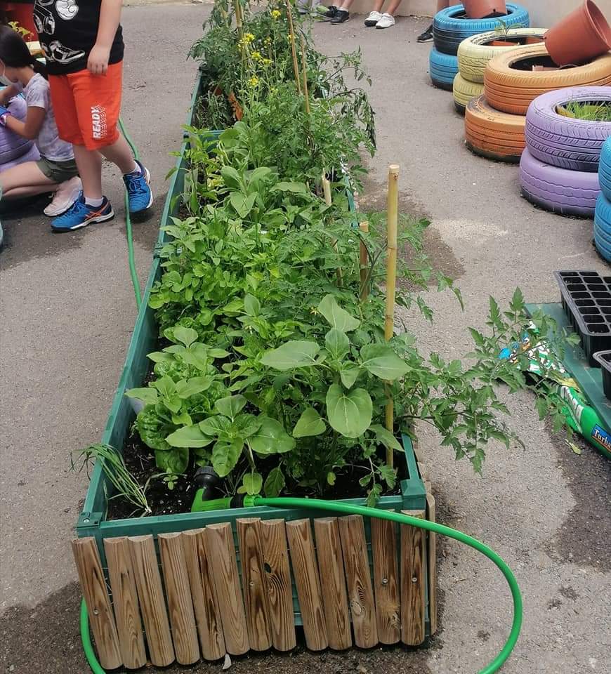 WhatsApp Image 2023-03-21 at 08.31.35 (4)