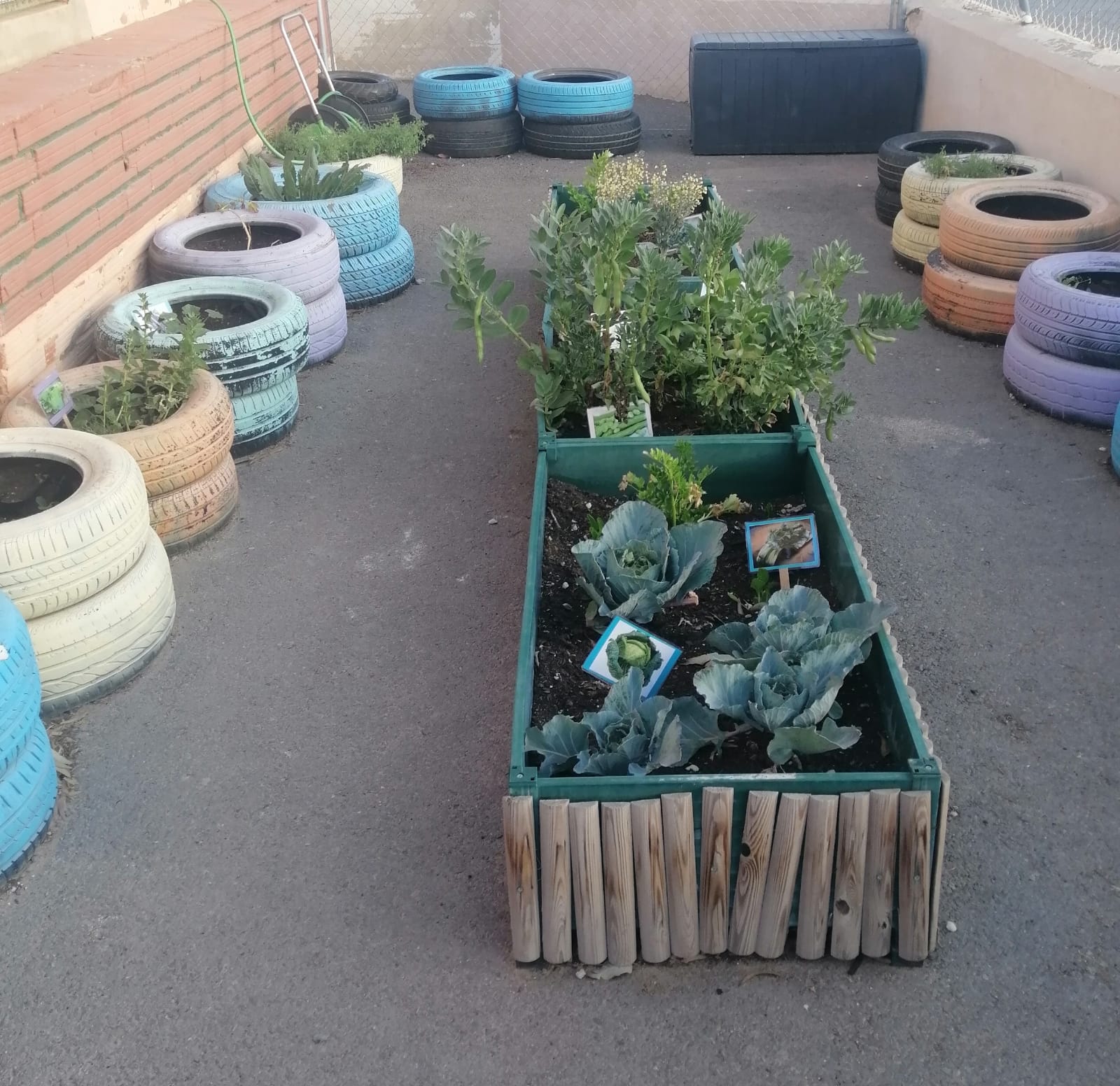 WhatsApp Image 2023-03-21 at 08.31.35