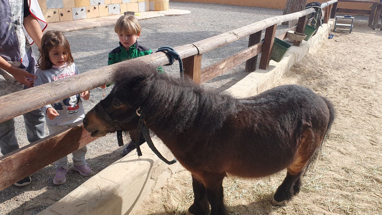 5886458893889029939_121