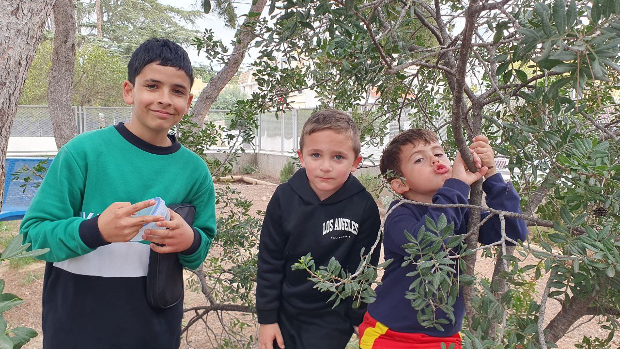 5765035753204729855_121