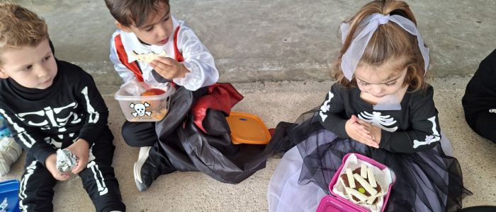 5775934859787308023_121