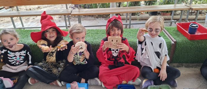 5775934859787308026_121