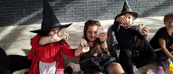 5775934859787308027_121