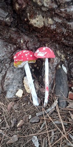 5836893240425122653_121