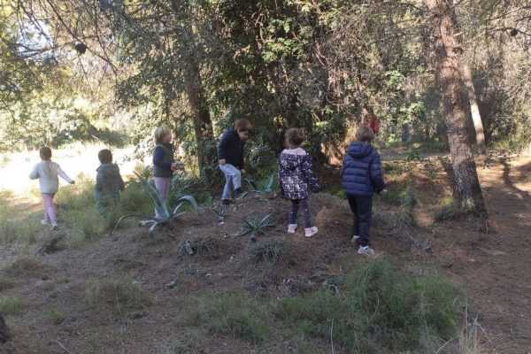 5861927483807042342_121