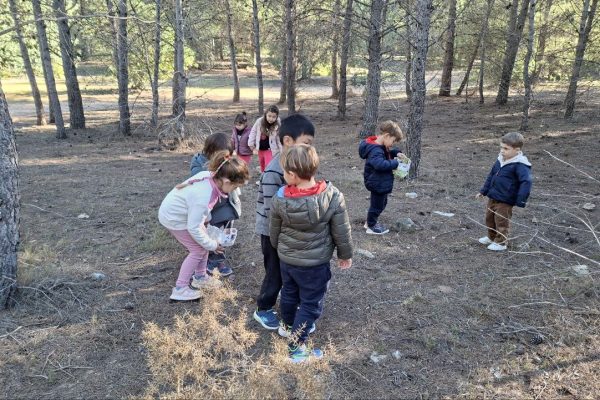 5866149269155285970_121