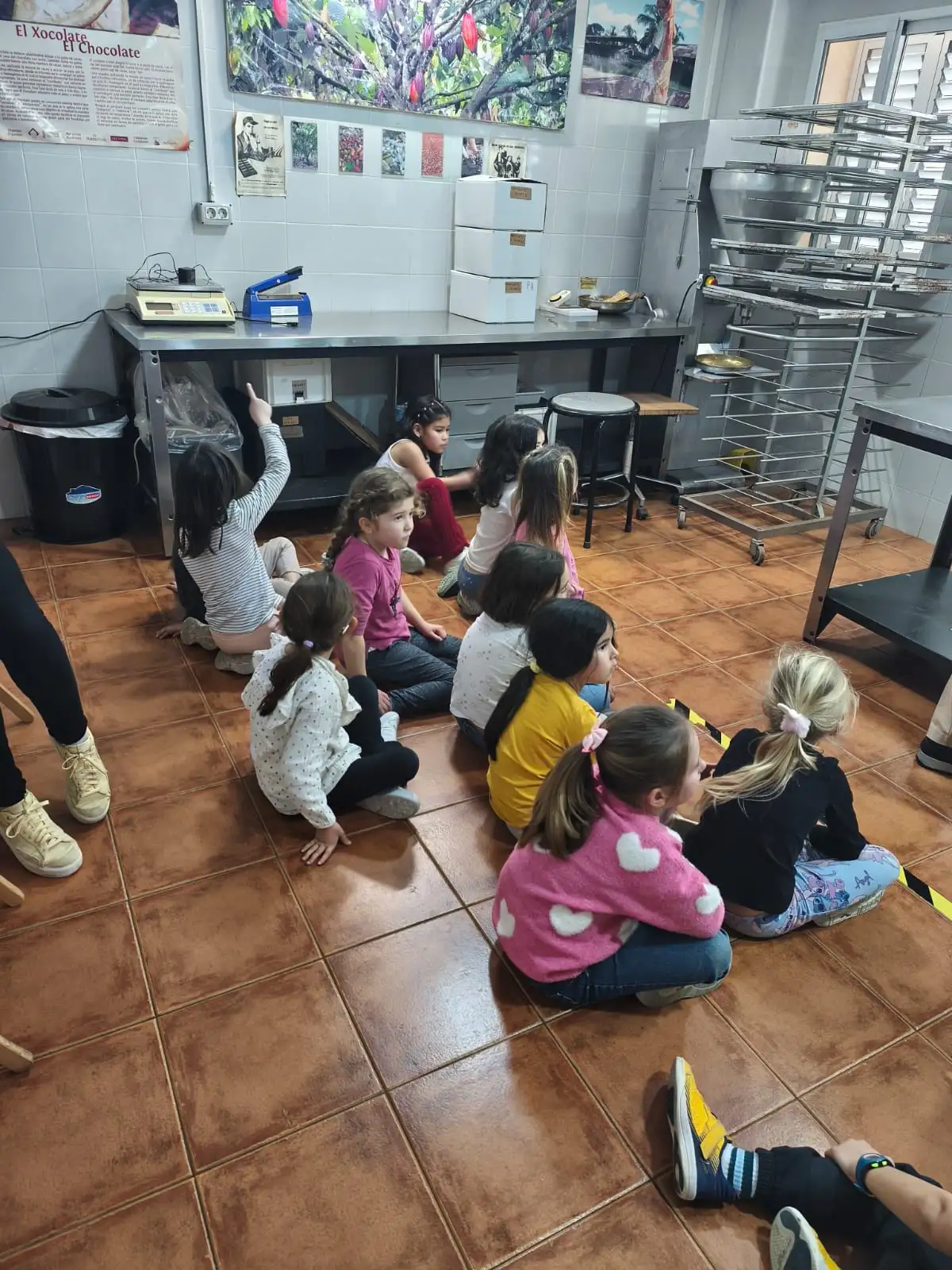 WhatsApp Image 2026-02-18 at 15.27.12