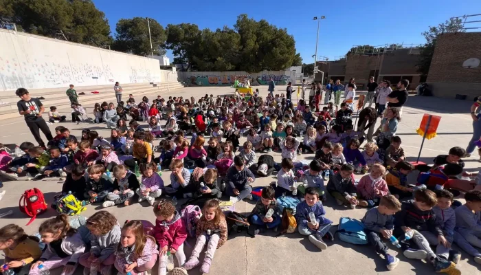 WhatsApp Image 2026-03-13 at 16.17.46