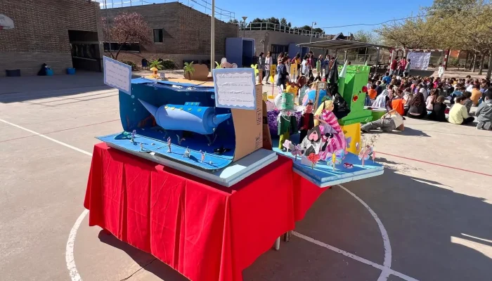 WhatsApp Image 2026-03-13 at 16.17.47(4)