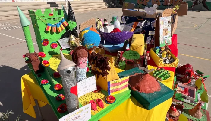 WhatsApp Image 2026-03-13 at 16.17.47(7)