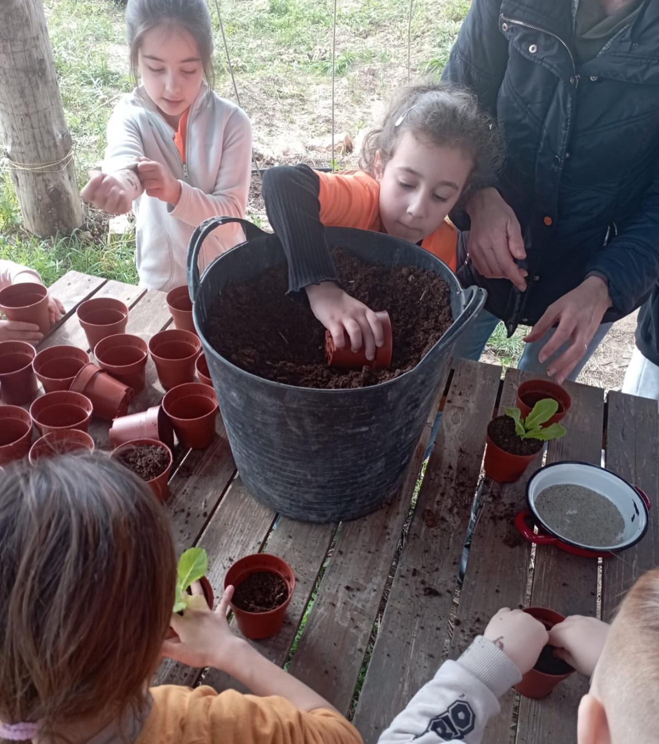 WhatsApp Image 2025-06-09 at 13.23.14 (2)