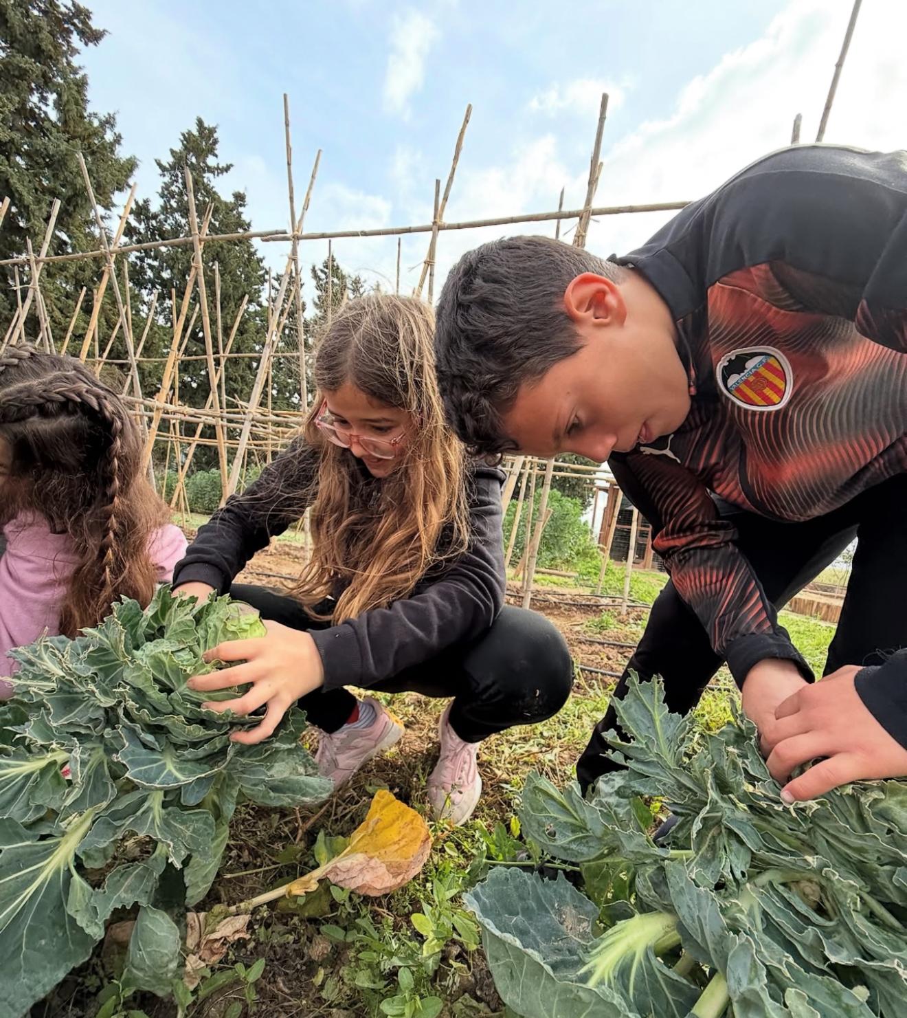 WhatsApp Image 2025-06-09 at 13.23.14 (5)