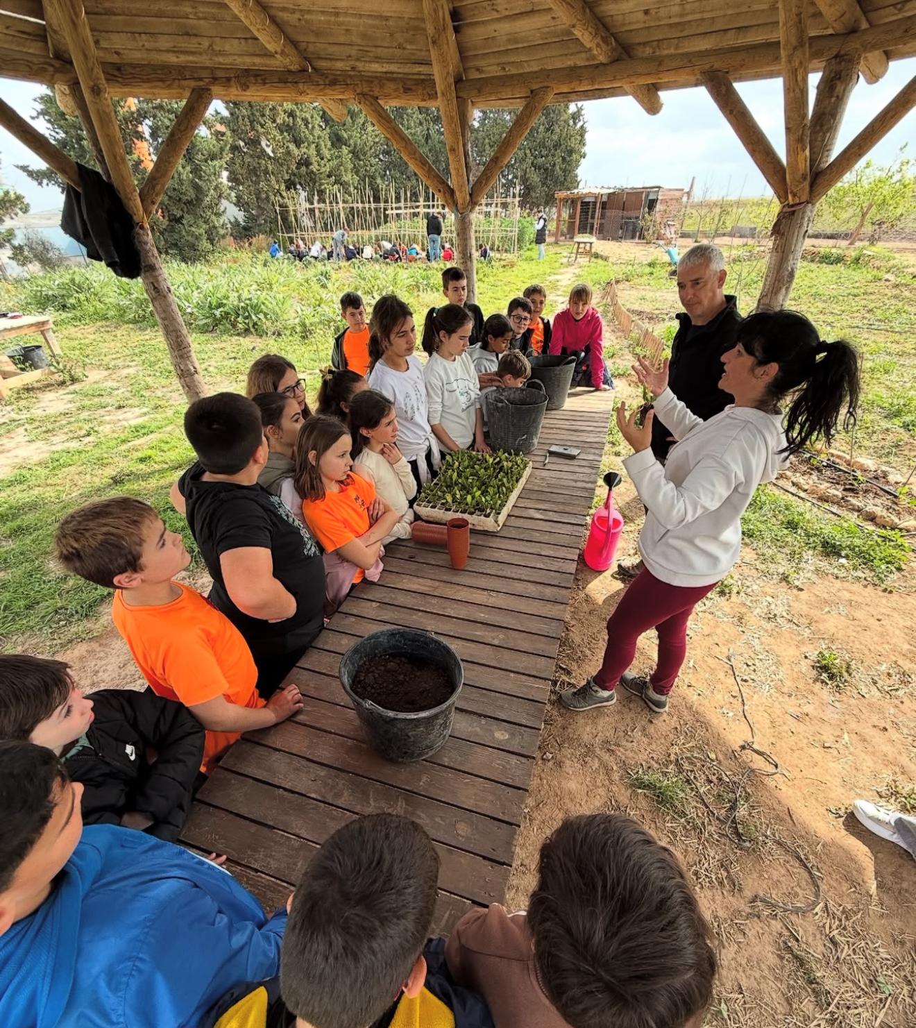 WhatsApp Image 2025-06-09 at 13.23.14