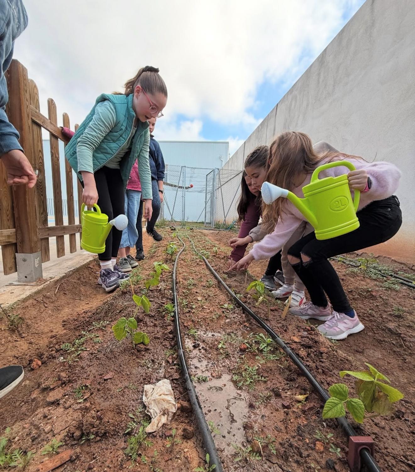 WhatsApp Image 2025-06-09 at 13.23.15 (4)