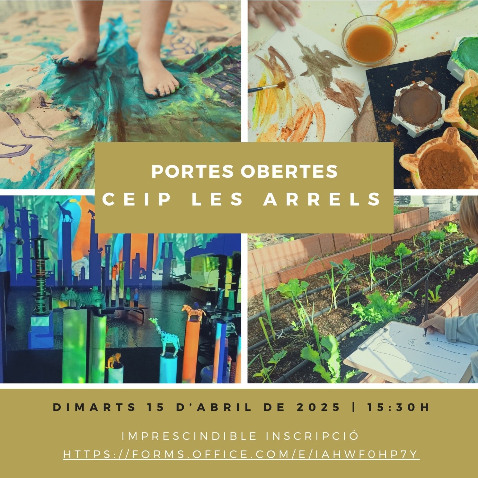 WhatsApp Image 2025-03-17 at 11.15.49