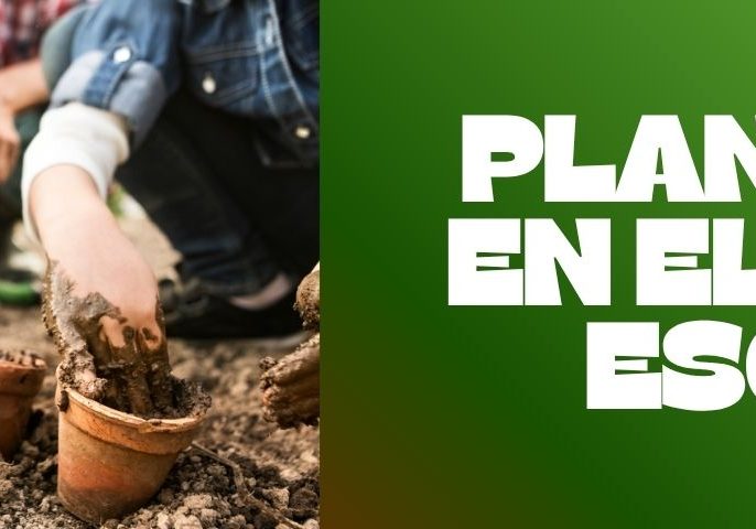 Copia de BANNERS WEB (1)