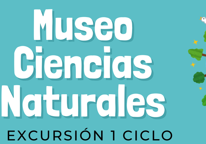 muséo 1