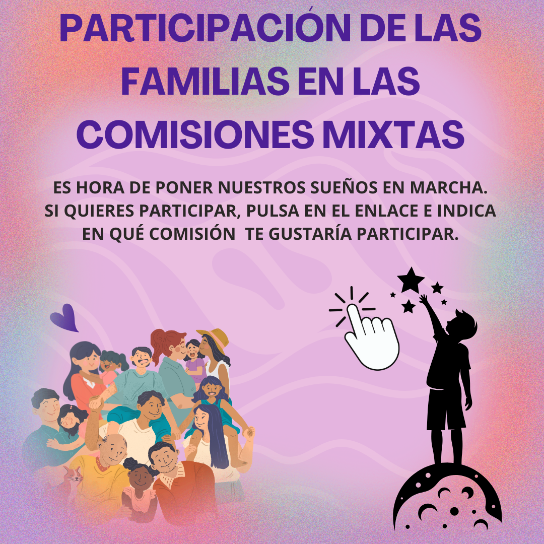 COMISIONES MIXTAS