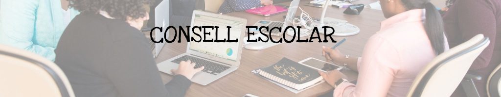consell escolar