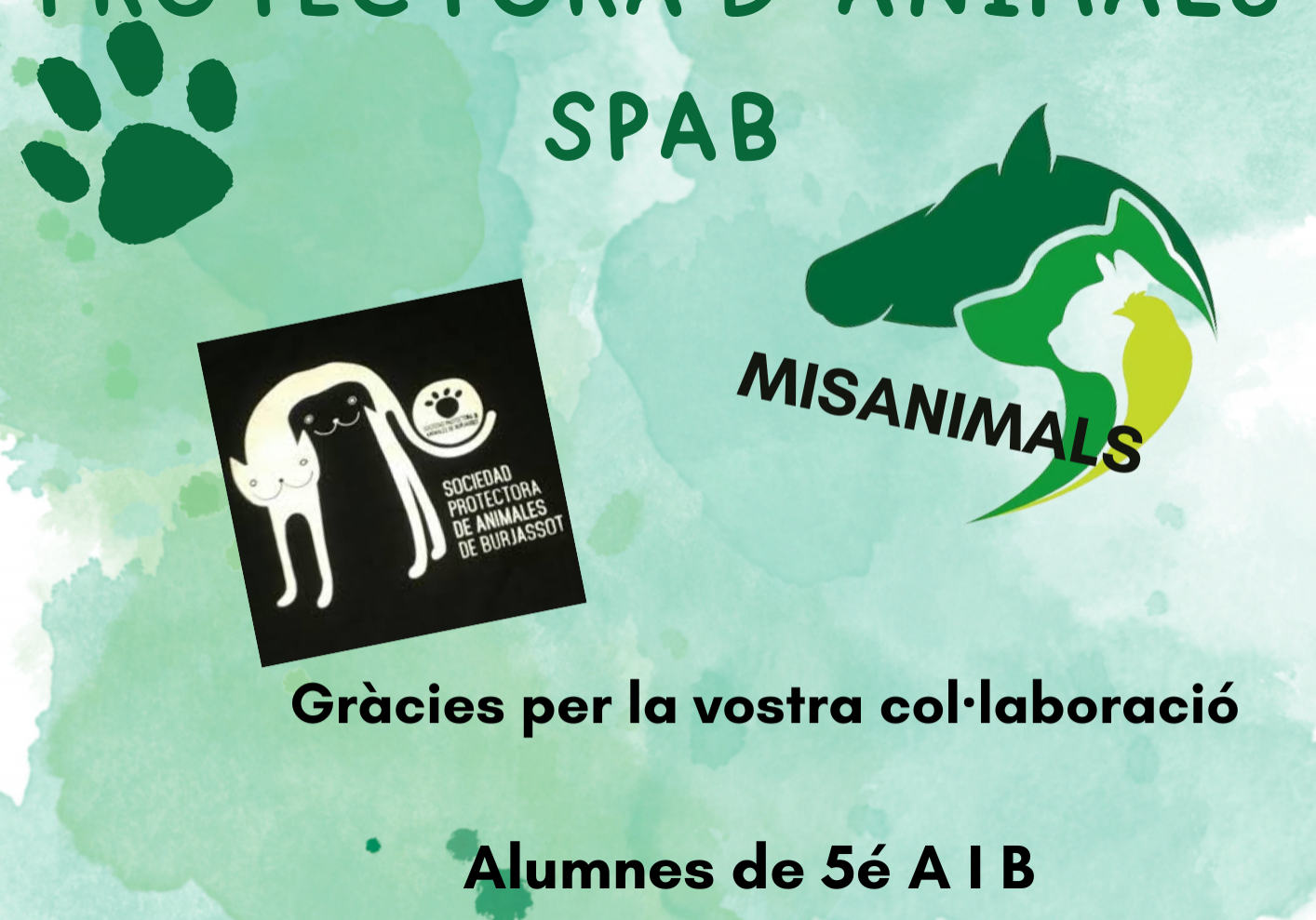 MISANIMALS DONA 282,85€ A LA PROTECTORA DE ANIMALES DE SPAB
