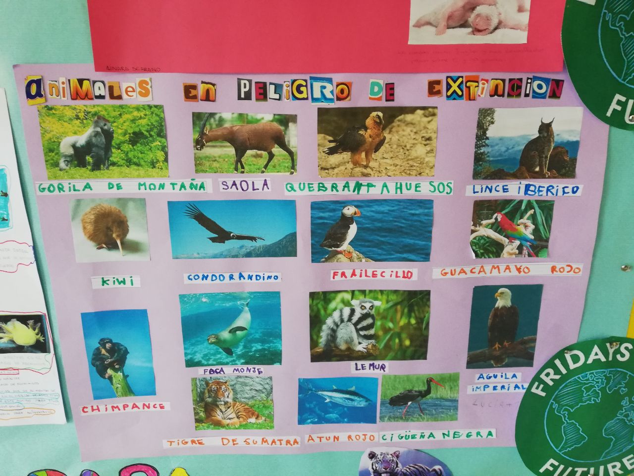 IMG_20211105_193057_796