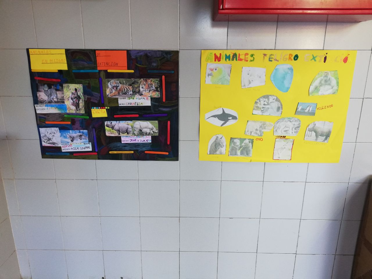 IMG_20211105_193104_663