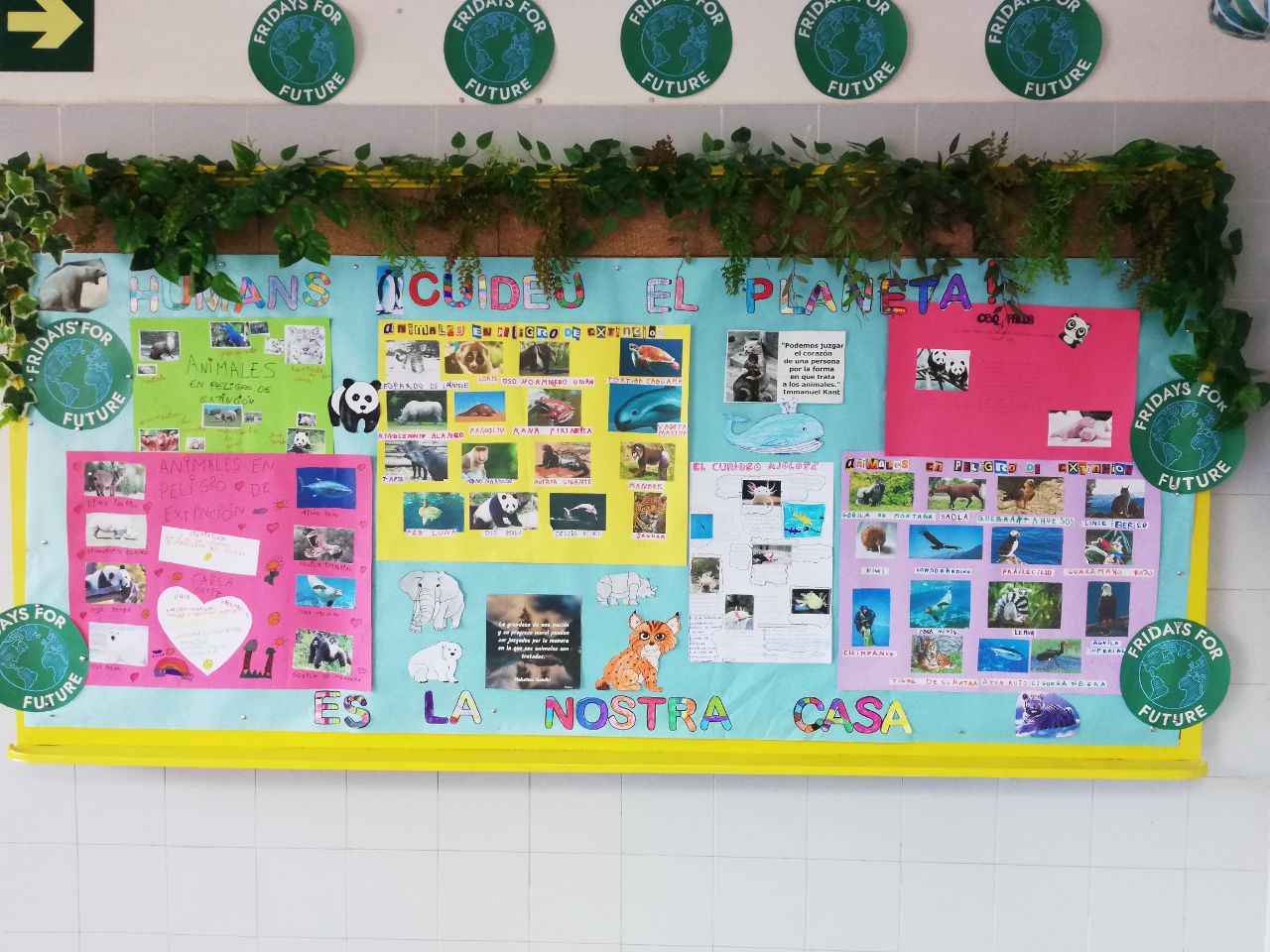 IMG_20211105_193111_161