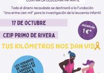 Cartel Carrera solidaria