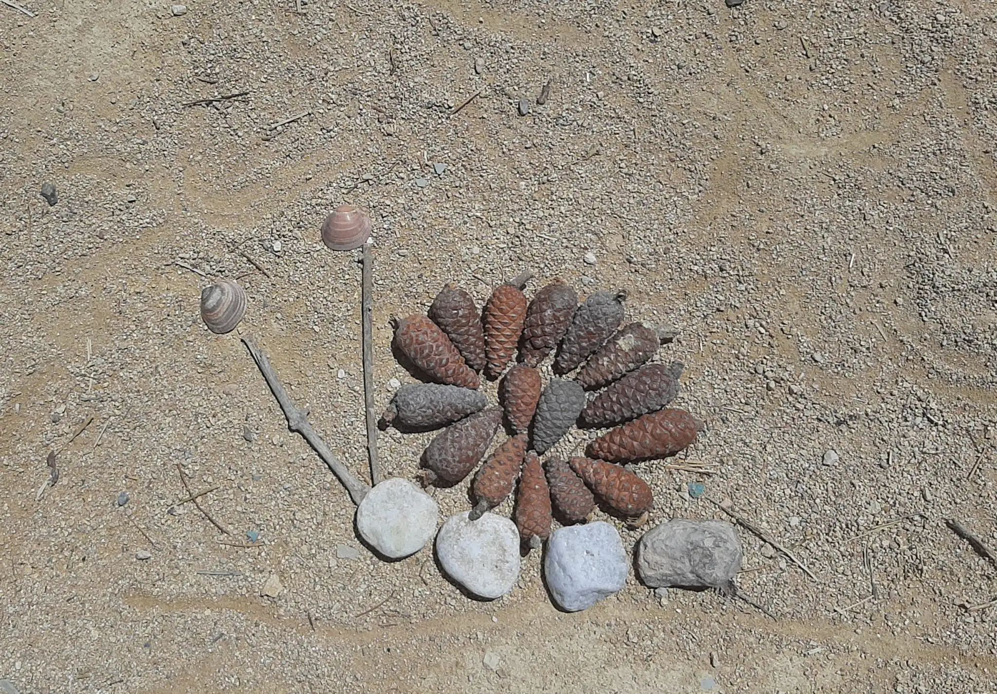 art land (12)