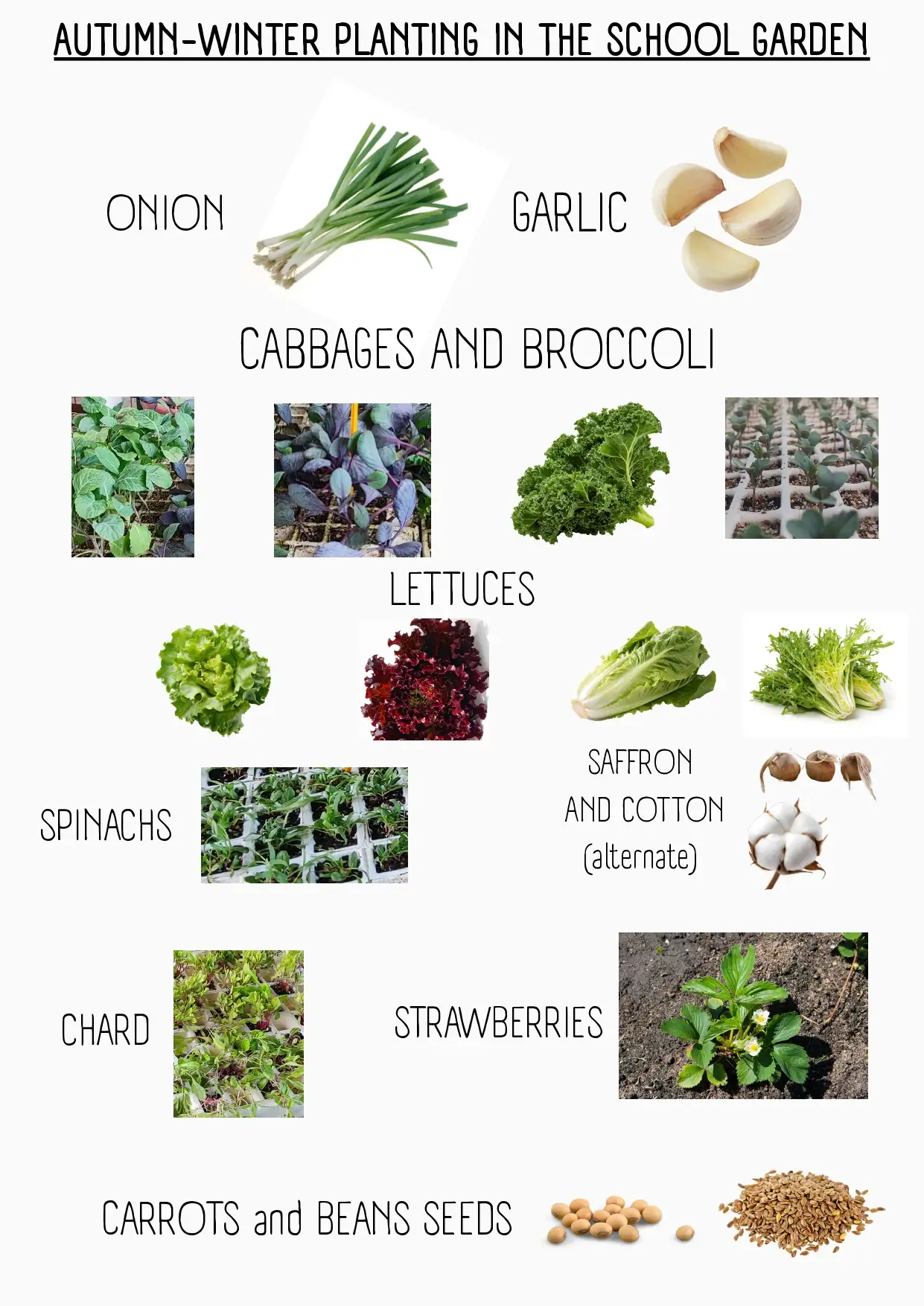 PLANTACIÓ TARDOR-HIVERN angles