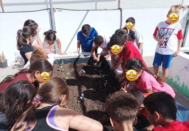 Imagen-de-WhatsApp-2024-09-29-a-las-18.47.14_0ff57d4b