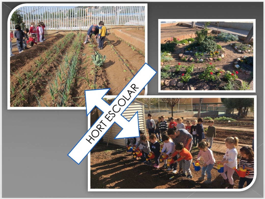 Hort Escolar CEIP SANTA GUEDA Hort Escolar CEIP SANTA GUEDA