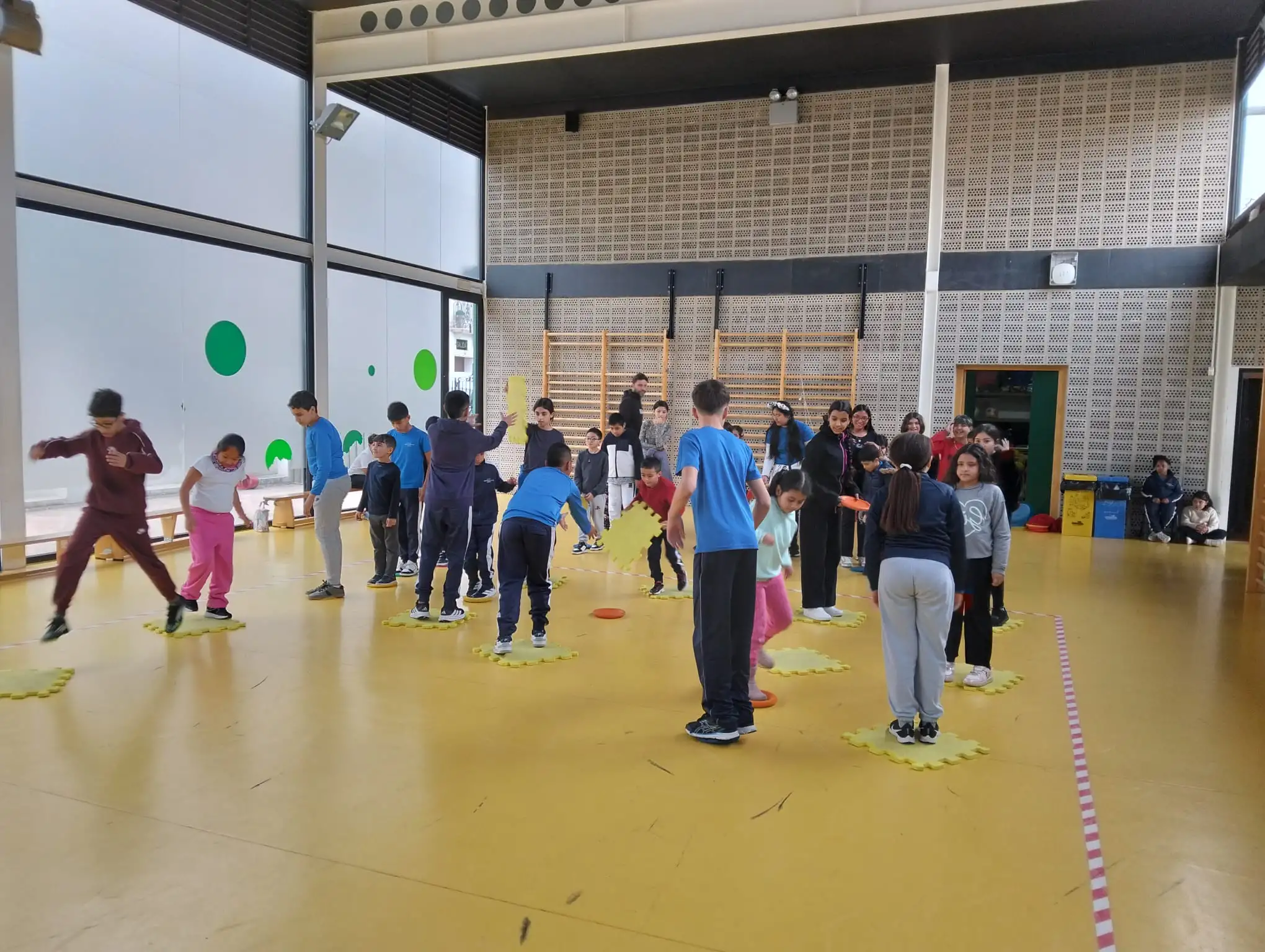 WhatsApp Image 2026-02-11 at 16.29.30