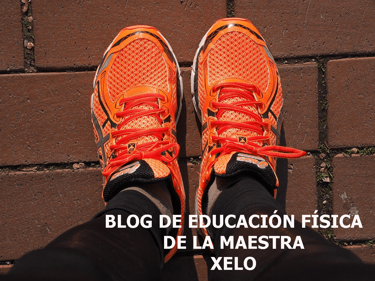 ZAPATILLAS EF CAS-min