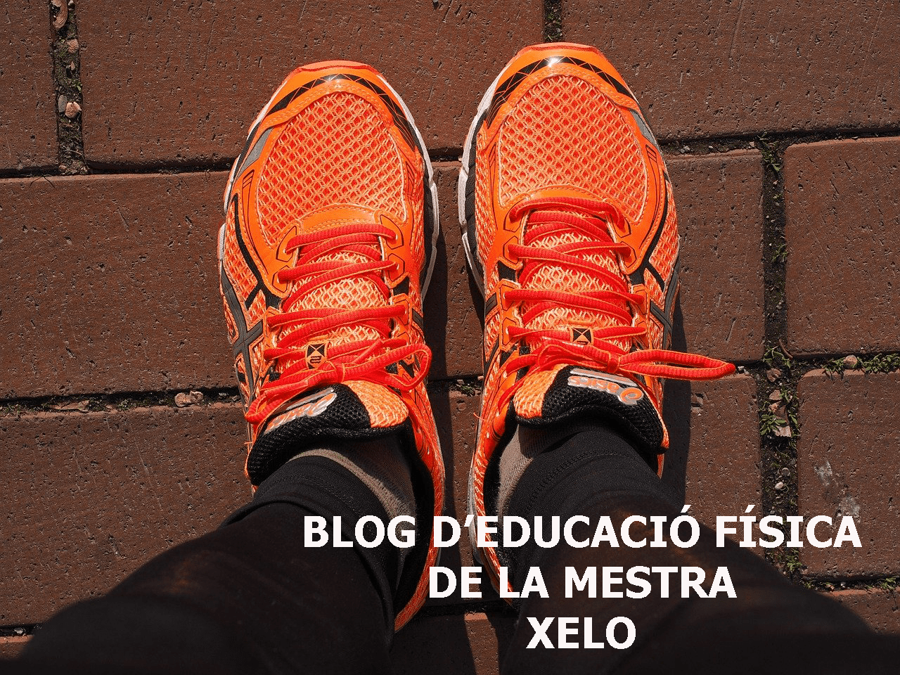 ZAPATILLAS EF VAL-min