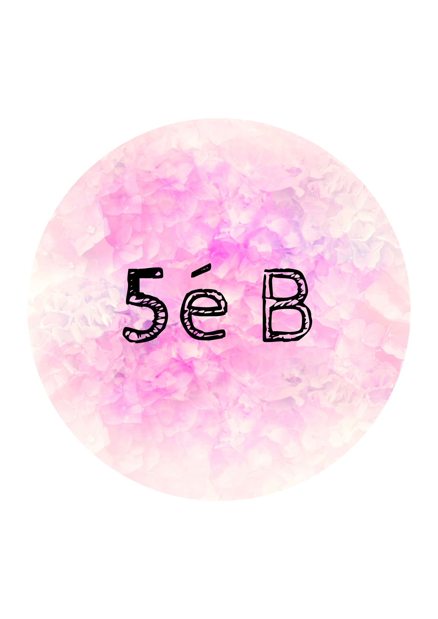 5é B