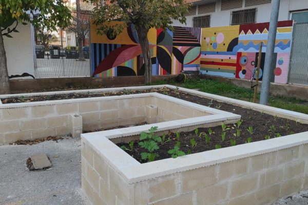 5.1. Plantem a l'hort