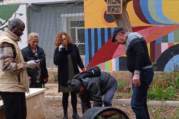 5.3.2. Plantant Moreres i Casuarines