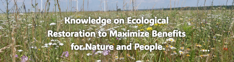 eslogan_web_tup-1-768x203